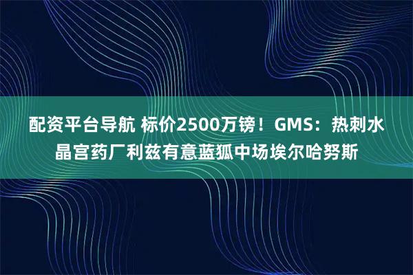 配资平台导航 标价2500万镑！GMS：热刺水晶宫药厂利兹有意蓝狐中场埃尔哈努斯