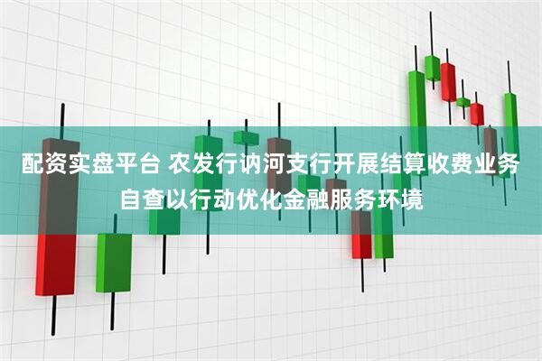 配资实盘平台 农发行讷河支行开展结算收费业务自查以行动优化金融服务环境